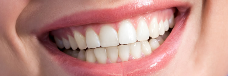 interesting-teeth-banner